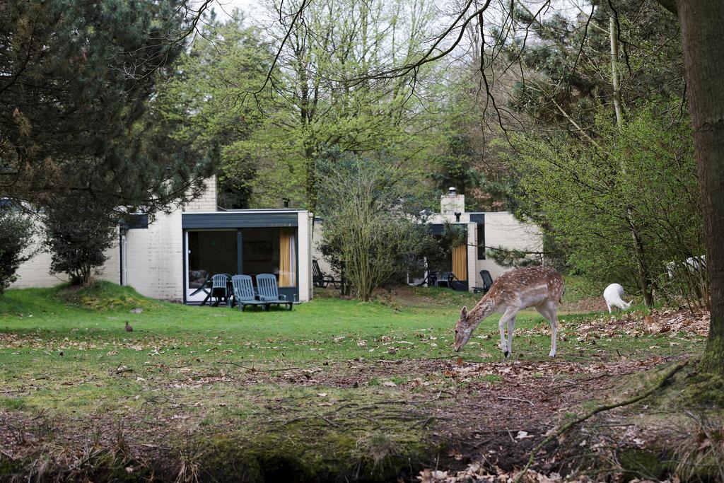 Center Parcs Meerdal Limburg-Brabant America Room photo